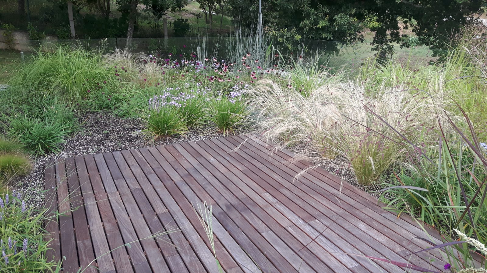 Cubiertas verdes en Galicia