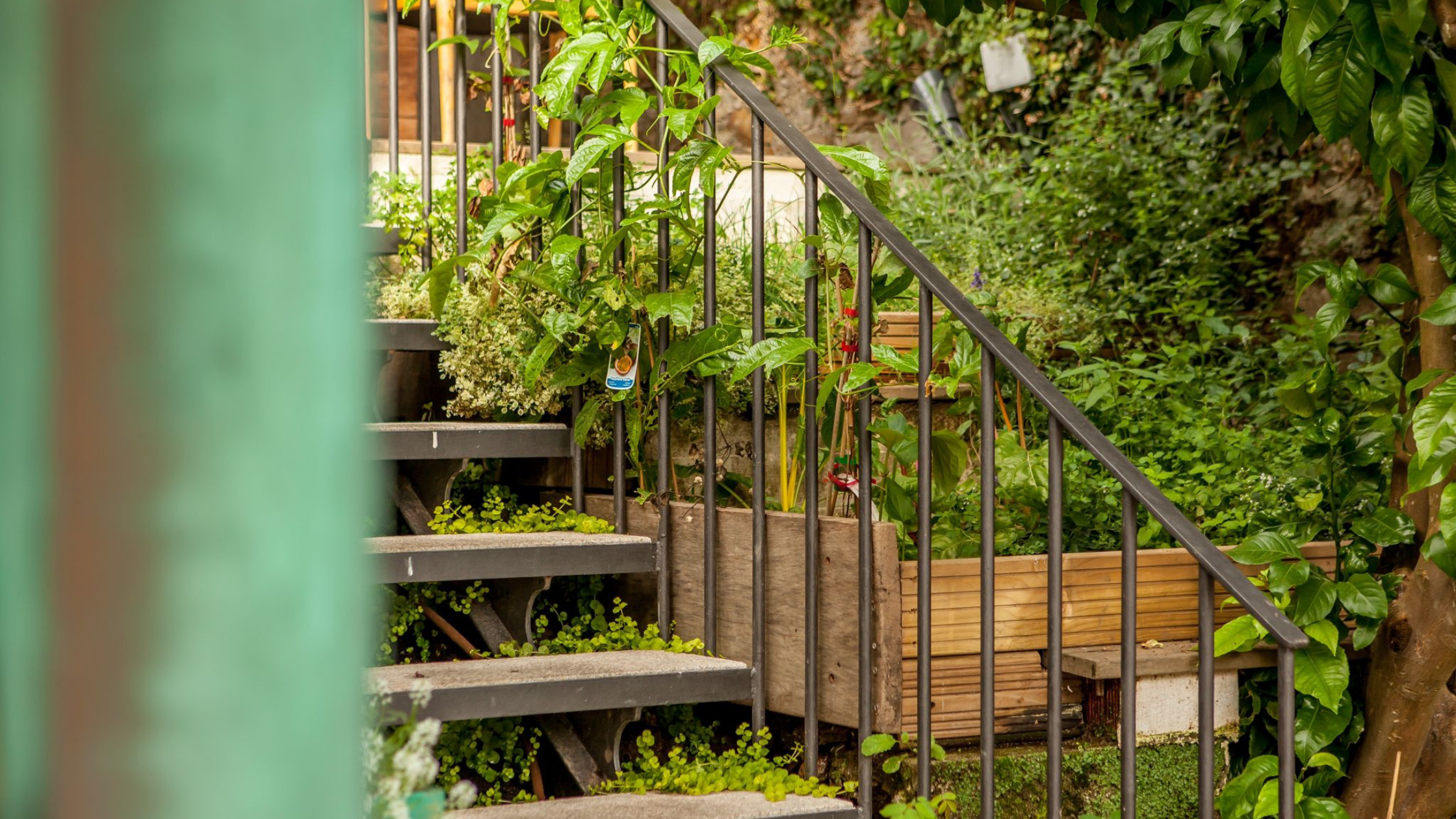 tendencias paisajismo 2023